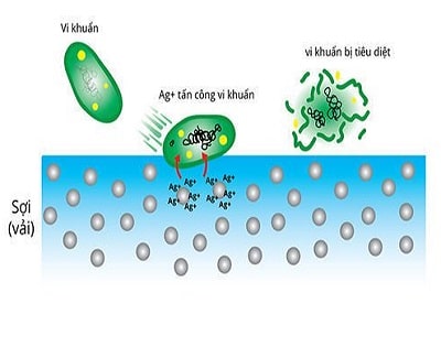 Xử lý chống vi khuẩn cho vải và quần áo sau khi dệt nhuộm