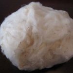 Xơ sợi bông - sợi tự nhiên - tính chất cơ bản, thành phần, ứng dụng