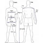 Lựa chọn vải theo vóc dáng cơ thể